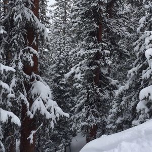 Meet your Posher, Carin